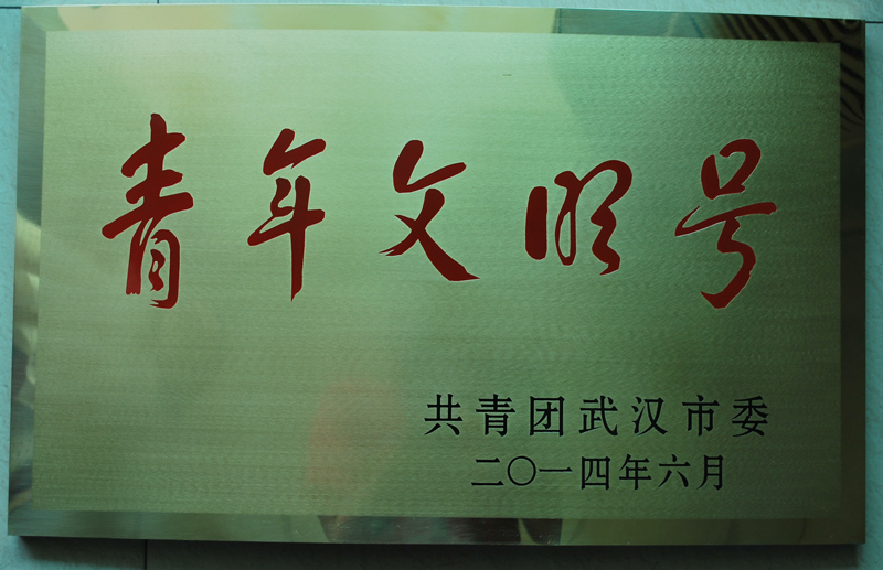 湖北東信醫(yī)藥榮獲 “2013-2014年度武漢市青年文明號(hào)”榮譽(yù)...